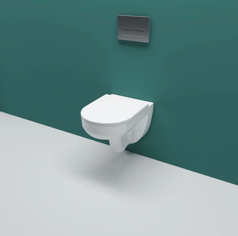 Modern and Traditional Toilets