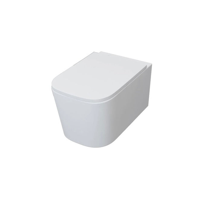 Rimless Wall Hung Toilet Soft Close Seat (UF) Pan WC